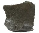 Fossil Whale Bone - Shark Tooth Marks (Megalodon?) #64296-3